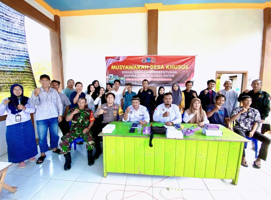 logo desa